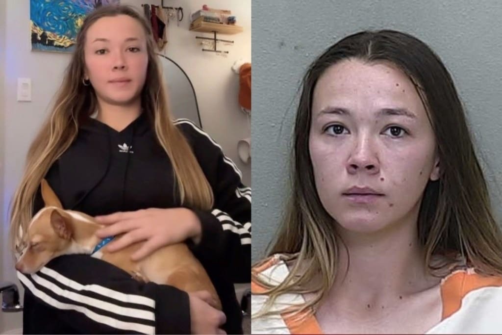 Logan Guminski Arrested for Selling Disturbing Video for $500 - Under(03)